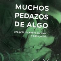 Muchos pedazos de algo