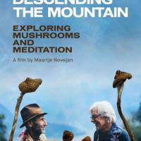 Descending the Mountain