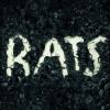 Rats