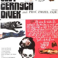 Šest černých dívek aneb Proč zmizel Zajíc?