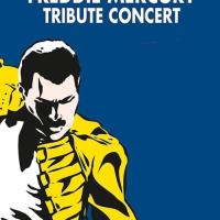 Freddie Mercury Tribute: Concert for AIDS Awareness, The