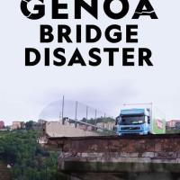 Zřícení mostu v Janově