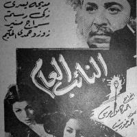 The Public Prosecutor