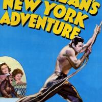 Tarzan's New York Adventure