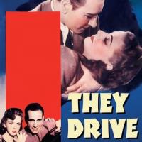 They Drive by Night