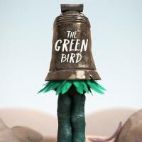 Zelený pták