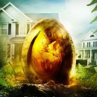 Můj kamarád dinosaurus