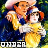 Under Texas Skies