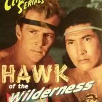 Hawk of the Wilderness