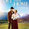Love Comes Softly
