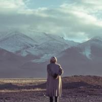 Women Behind the Wheel