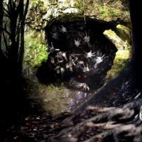 The Chosen: Forbidden Cave