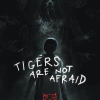 Tigers Are Not Afraid