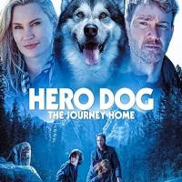 Dobrodružství v divočině: Pes hrdina
