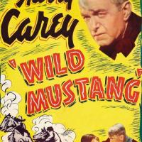 Wild Mustang