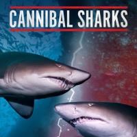 Žraloci kanibalové