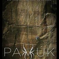 Pavúk, horolezec storočia