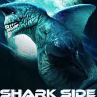 Shark Side of the Moon