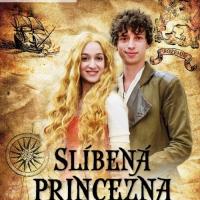 Slíbená princezna