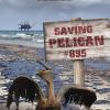Záchrana pelikána č. 895