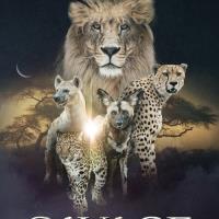 Nelítostné království