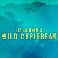 Divokým Karibikem s Liz Bonninovou
