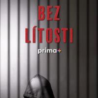 Bez lítosti