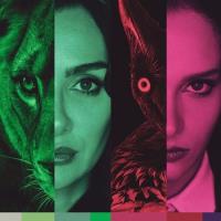 Na křídlech ctižádosti