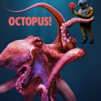 Octopus!