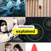 Koronavirus - máme jasno