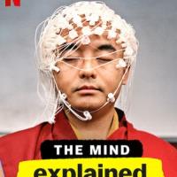 Lídská mysl: Máme jasno