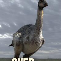 Napříč Austrálií