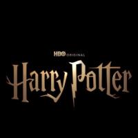 Harry Potter a Kámen mudrců