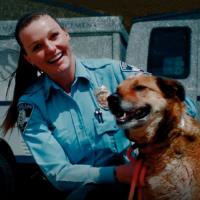 Rocky Mountain Animal Rescue