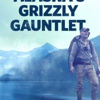 Aljašská divočina