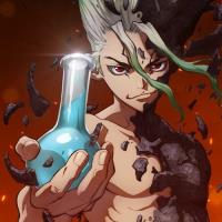 Dr. Stone