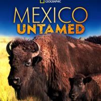 Nespoutané Mexiko