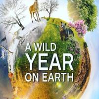 Bouřlivý rok na Zemi