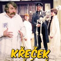 Křeček v noční košili