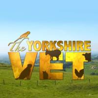 Veterinář z Yorkshiru