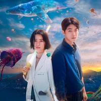 The School Nurse Files