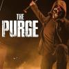The Purge