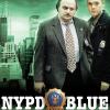 Policie New York